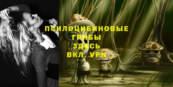 мет Бикин