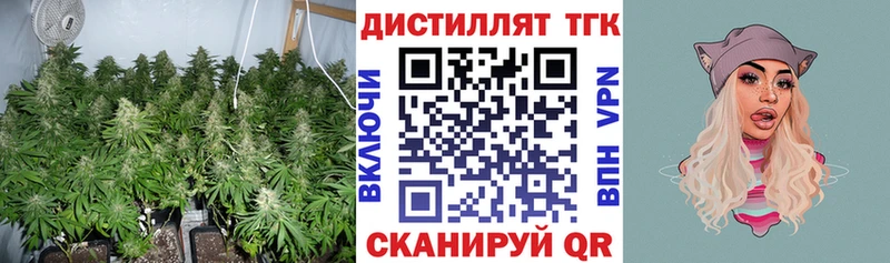 ТГК концентрат Ельня