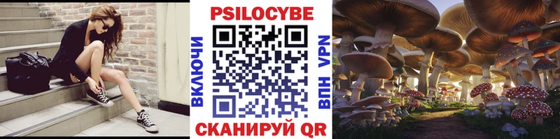 Галлюциногенные грибы прущие грибы  Ельня 